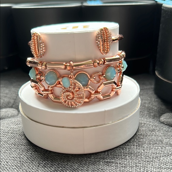 Rose Gold and Turquoise Bracelet Set - Picture 1 of 6